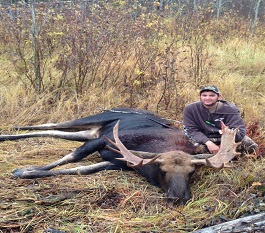 Moose Hunting Special Silverback Outfitters
