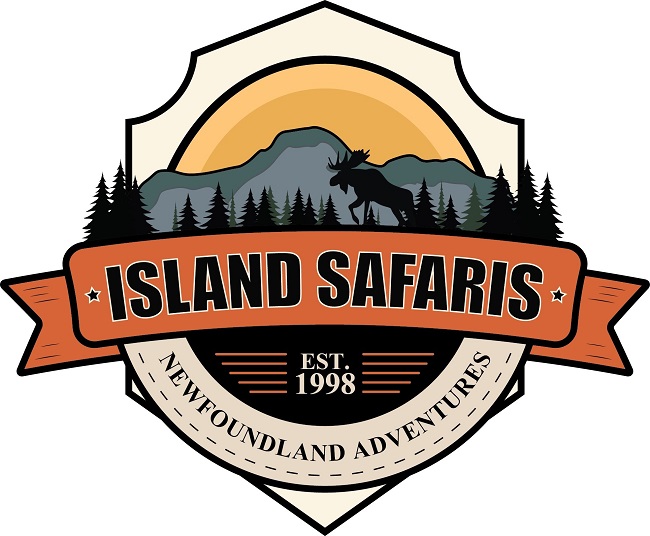 island safaris newfoundland